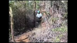 Scientists try to get George, a rare giant tortoise, to breed News Clip