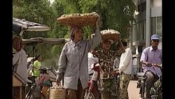 Street scenes around Phnom Penh News Clip