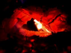 Glowing Coal Fire Stock Footage