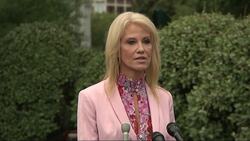 Conway: Mueller bears 'no juice for impeachment' Instructional Video