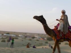 WS TS Tar dessert with rider riding on camel in traditional outfit / Sam Sand Dunes, Rajasthan, India Stock Footage