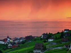 beautiful vineyard sunset near Lac Leman Stock Footage