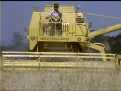HARVESTING STOCK SHOTS - MUTE COLOUR - COLOUR VERY GOOD News Clip
