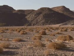 Extreme Long Shot, pan-right - Gray hills form a boundary to a shrub-laden desert / Egypt Stock Footage