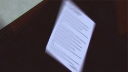 TED-ED: What happened to trial by jury? - Suja A. Thomas Instructional Video