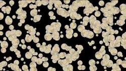 Euro coins appear and disappear in speckles against a black surface changing to white silhouettes. Stock Footage