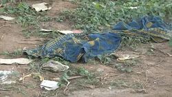 CLEAN : Benin landfill blast kills two: police News Clip