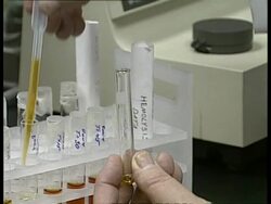 CU Hands pipetting yellow liquid from sample into test tube Stock Footage