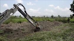 CLEAN : French troops and refugees in a News Clip