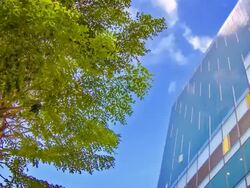 Green business city Stock Footage