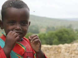 Young Afar boy covered in flies Stock Footage