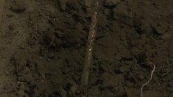 Pelosi Visits Flint to Get Update on Progress Instructional Video