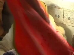 Palestinians tell of horrific ordeal News Clip