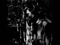 SYND 21/11/67 DEMOLITION OF AMMUNITION FOUND IN FOREST Instructional Video