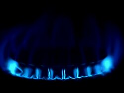 ECU Shot of Blue Flame from Gas Cooker against Black background / Calvados, Normandy, France Stock Footage