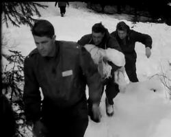 HOW TO SURVIVE News Clip