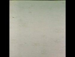 SYND 27 9 75 FLOODING AFTER VERY HEAVY RAIN News Clip