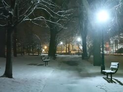 Cold Winter Night Stock Footage