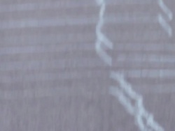 MS TU A girl running towards camera / Langley, British Columbia, Canada. Stock Footage