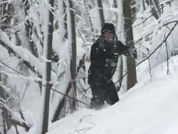 HD Super Slow-Mo: Snowboarding Through The Forest Stock Footage