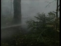 Source of fires causing smog to envelop Moscow News Clip