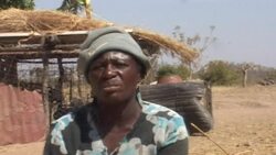 VOICED : Hunger stalks Zimbabwe after poor rains News Clip