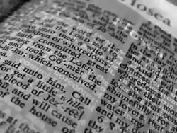 HD 1080i Composite of Holy Bible book Hosea Stock Footage