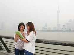 Young women using a digital tablet in the park Stock Footage