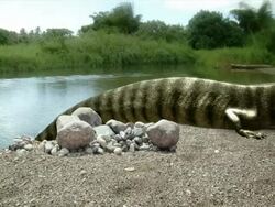 Medium Long Shot static - A striped dinosaur scoots out of a river. / Dallas, Texas, USA Stock Footage