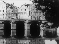 Swans and dogs by the waterways of Belgium. Architecture and a castle. Belgium, 1920s Stock Footage