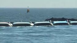 CLEAN : Dutch inventor harnessing waves to clean up the seas News Clip