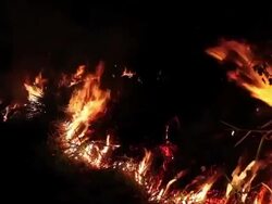 Illegal Gold Mining In Madre De Dios, Peru Stock Footage