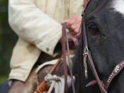Close-up of Cowboy Sitting on horse Stock Footage