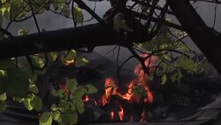 Crews Fight to Save Bel-Air Homes from Burning Instructional Video