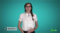 8 Creepy Animals That Are Actually Harmless Instructional Video