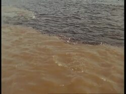 MS High angle tracking forward, Choppy water as the Amazon and Rio Negro meet, South America Stock Footage