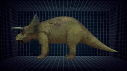 New big-nose, horned-face dinosaur discovered in Utah Instructional Video