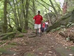WS View of hikers hiking in forest / Kastel-Staadt, Rhineland-Palatinate, Germany Stock Footage