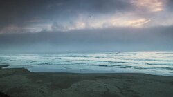Pacific City State Park beach Oregon with surf and birds Stock Footage