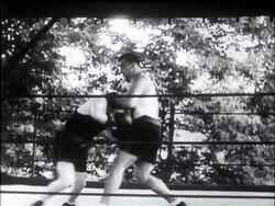 New York - Baer and Carnera. News Clip