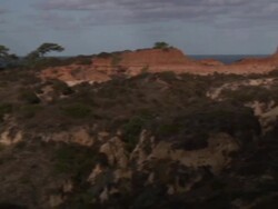 Torrye Pines State Park - HD Stock Footage