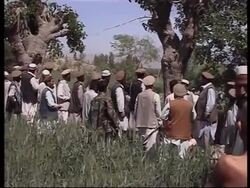 Government destroys some poppy fields News Clip