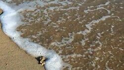 Heart shape in sand Stock Footage