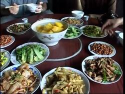 Pig dung converted into biofuel in rural homes News Clip