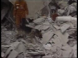FILE of Jewish centre blast as former Iran envoy arrested News Clip