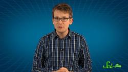 How Birds Really See the World Instructional Video