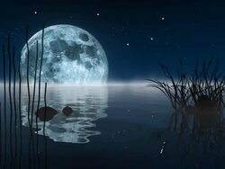 View Of Ocean And Starry Night Stock Footage