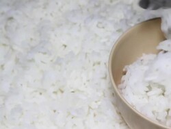 Cooked jasmine rice Stock Footage