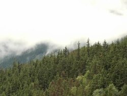 Mist drifting over the mountains (Full HD) Stock Footage