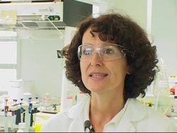 Scientists in France reconstruct human skin in a lab News Clip